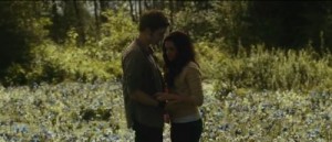 Poslednji nastavak Twilighta biće snimljen u dva 3D dela? Twilight 300x129 Poslednji nastavak Twilighta biće snimljen u dva 3D dela?