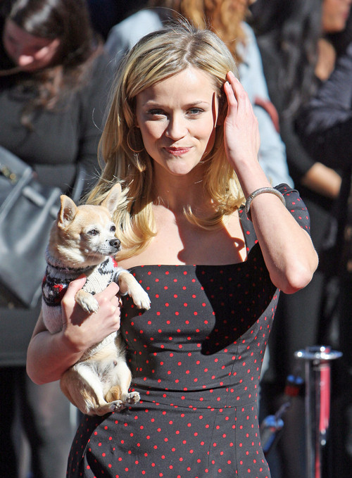 48078PCN ReeseStar17 Reese Witherspoon: Često se guglam