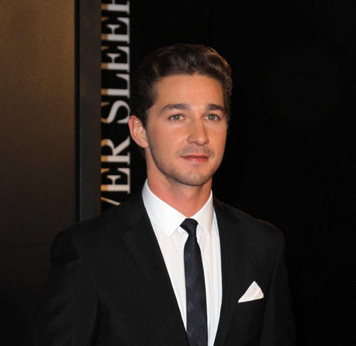 Shia LeBeouf: Megan Fox nije bila dovoljno seksi za režisera Shia LeBeouf Shia LeBeouf: Megan Fox nije bila dovoljno seksi za režisera