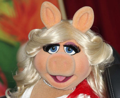 SIPA_sipausa30076289_000002 SIPA sipausa30076289 000002 Miss Piggy kao Bella iz Sumraka da li bi mogla da zameni Kristen Stewart?