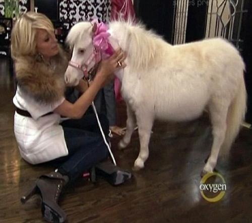 Paris hilton gets pony Paris Hilton dobila ponija na poklon